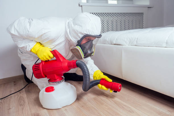 Best Wasp Removal Services  in Oak Grove, VA