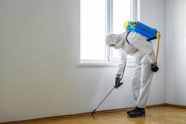 Best Mosquito Control Services  in Oak Grove, VA