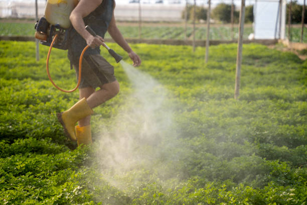 Best Affordable Pest Control Services  in Oak Grove, VA