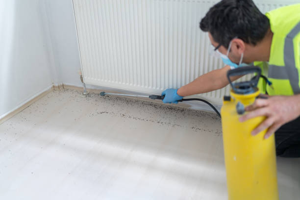 Best Emergency Pest Control  in Oak Grove, VA